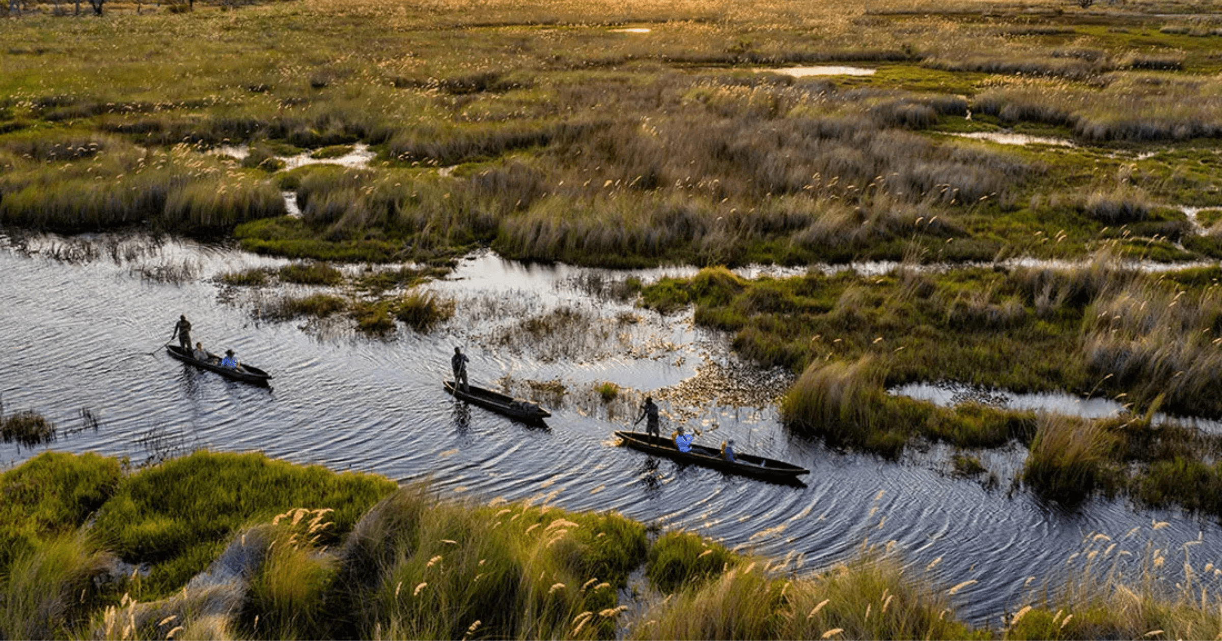 Fotografia di safari in Botswana con paesaggio naturale e senso di spazio.