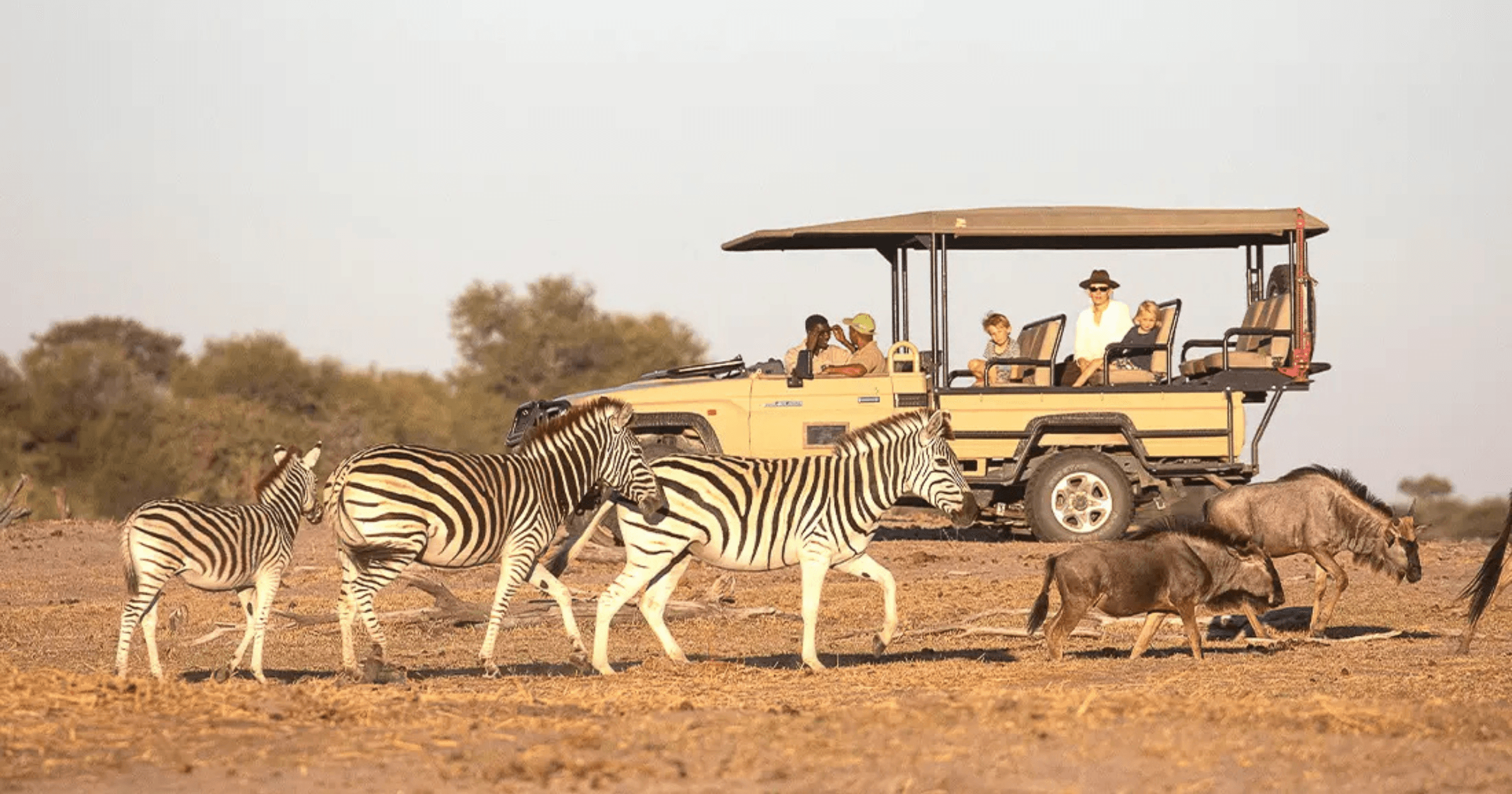 Safari in Botswana con bambini in un contesto naturale aperto e selvaggio.
