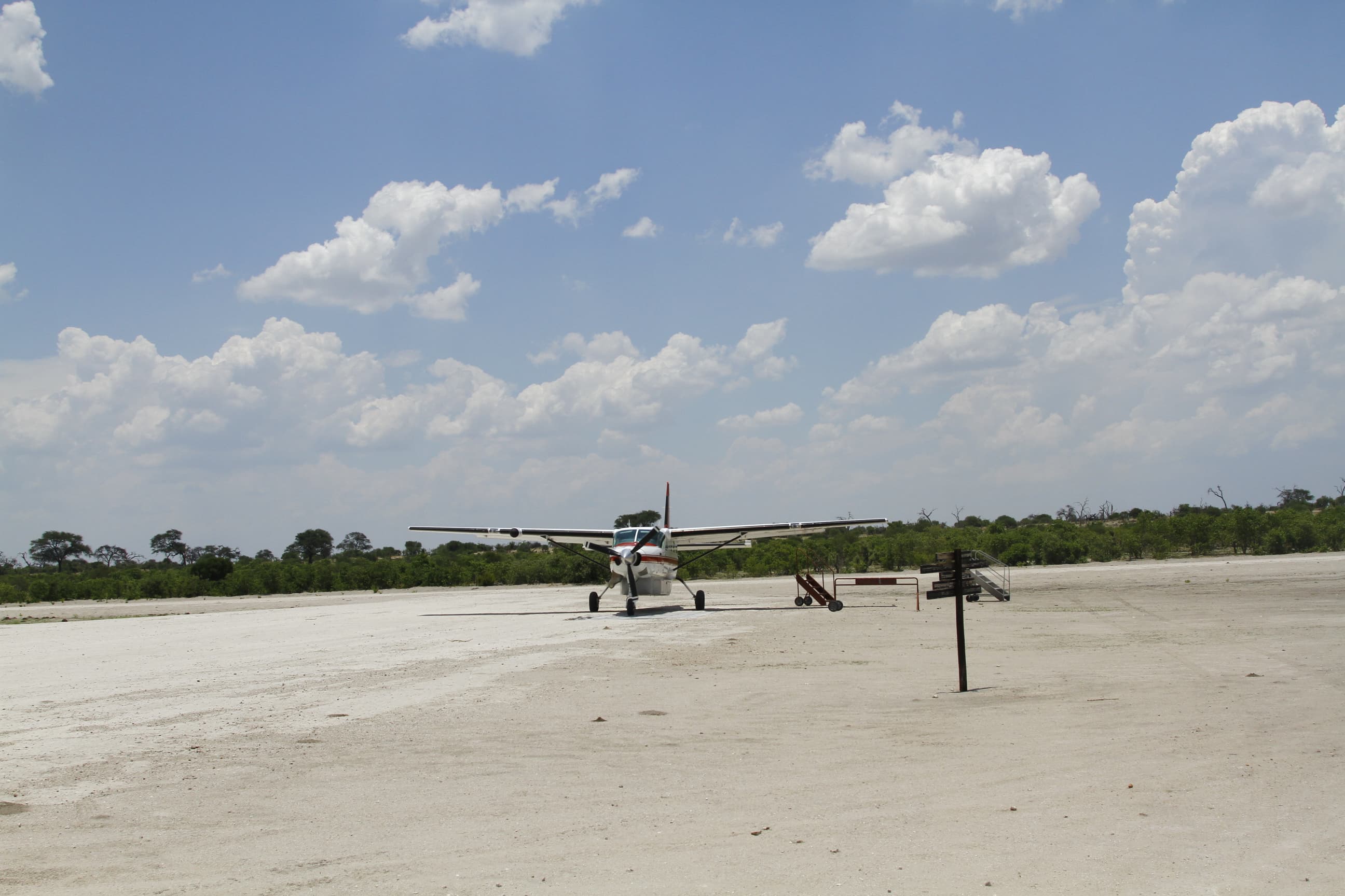 Safari in Botswana con atmosfera raccolta e immersiva.