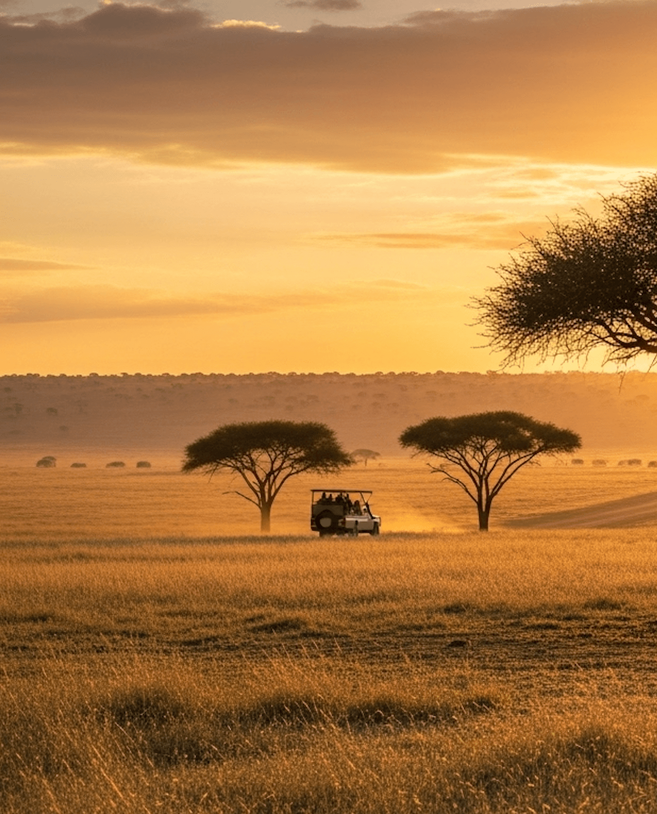 Atmosfera di safari in Tanzania con paesaggio ampio e scena narrativa.