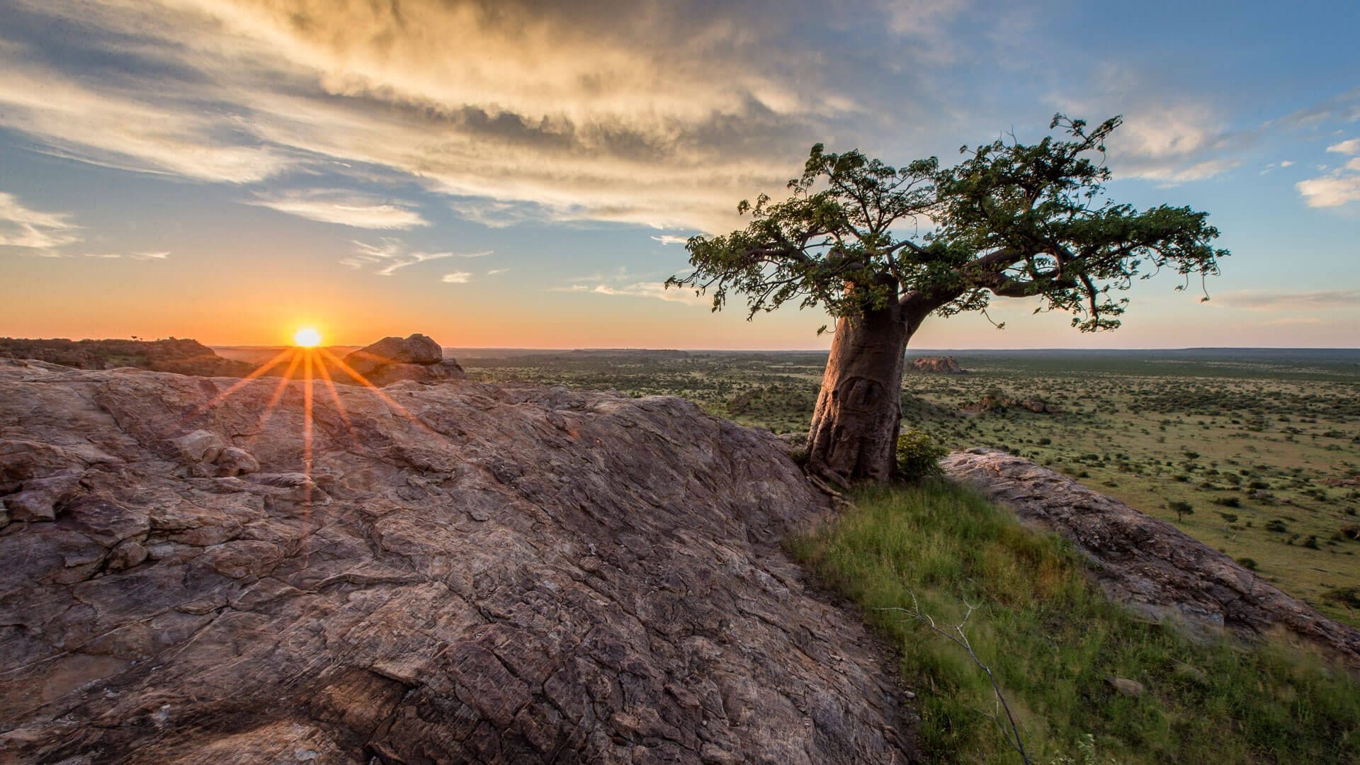 Paesaggio aperto del Botswana meridionale nell'area di Mashatu.