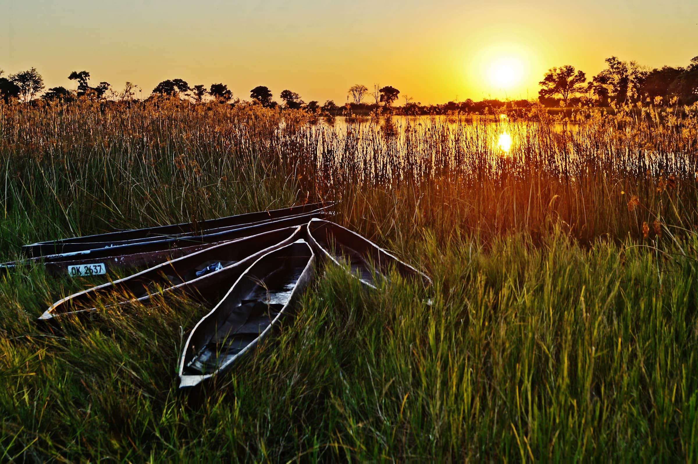 Paesaggio del Delta dell’Okavango con acqua e vegetazione.